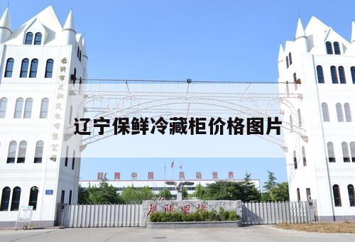 遼寧保鮮冷藏柜價格圖片