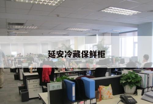 延安冷藏保鮮柜