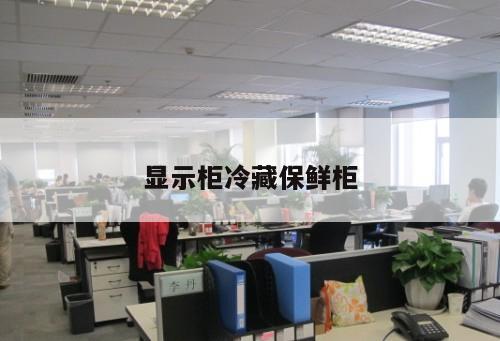 顯示柜冷藏保鮮柜