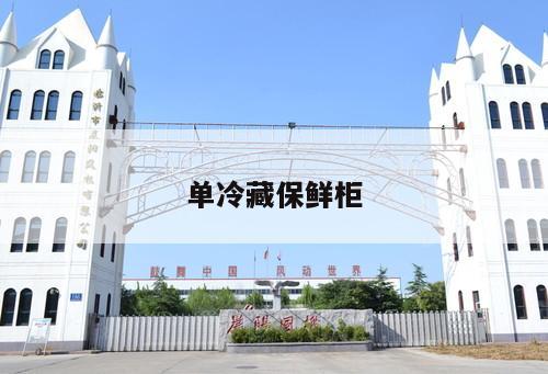 單冷藏保鮮柜