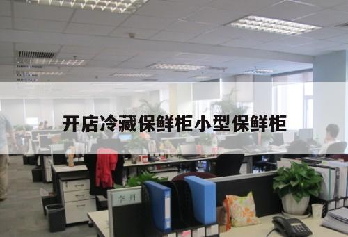 開店冷藏保鮮柜小型保鮮柜