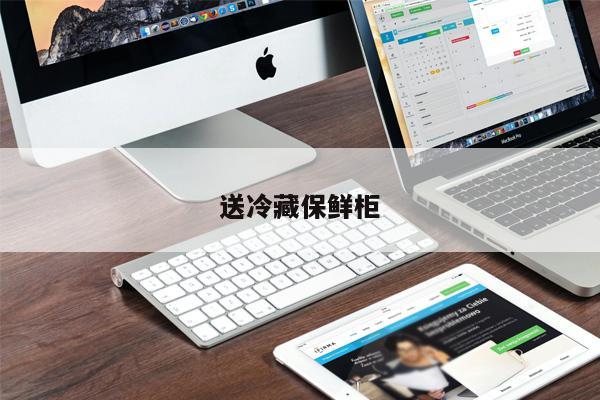 送冷藏保鮮柜