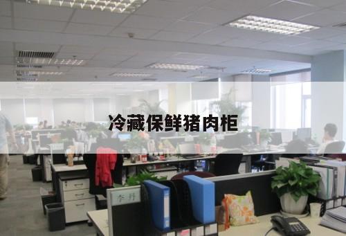 冷藏保鮮豬肉柜