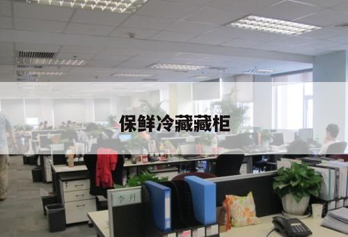 保鮮冷藏藏柜