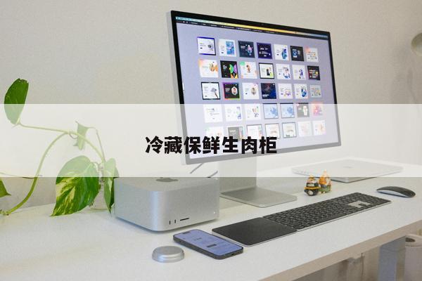 冷藏保鮮生肉柜