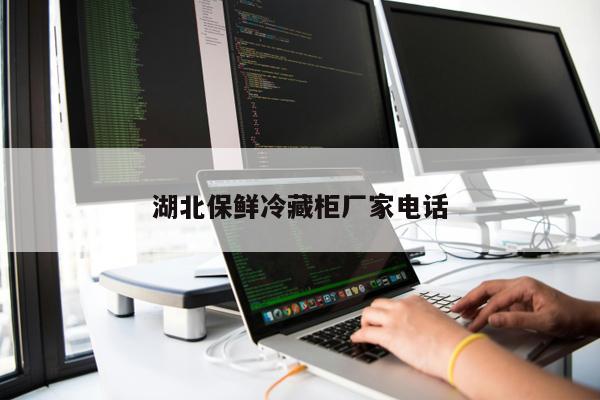 湖北保鮮冷藏柜廠家電話
