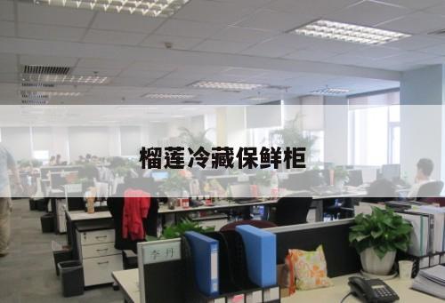 榴蓮冷藏保鮮柜