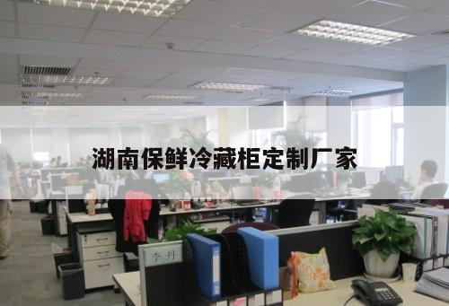湖南保鮮冷藏柜定制廠家