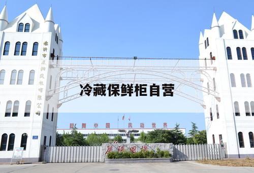 冷藏保鮮柜自營