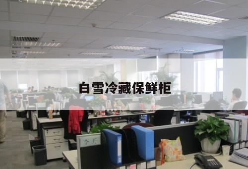 白雪冷藏保鮮柜