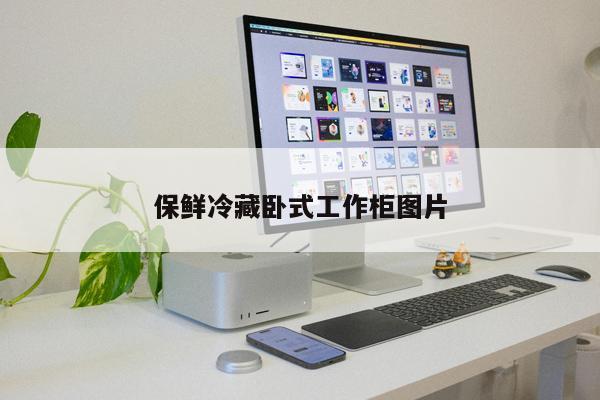 保鮮冷藏臥式工作柜圖片