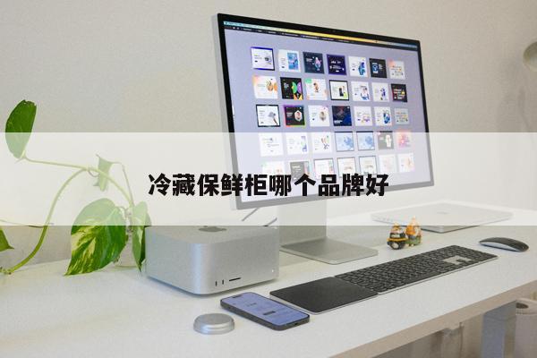 冷藏保鮮柜哪個品牌好