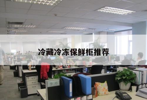 冷藏冷凍保鮮柜推薦