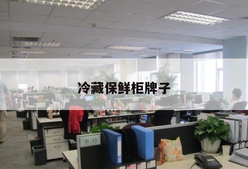 冷藏保鮮柜牌子
