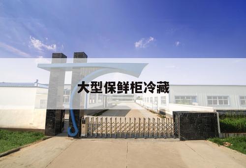 大型保鮮柜冷藏