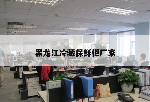 黑龍江冷藏保鮮柜廠家