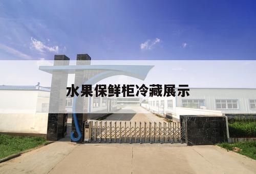 水果保鮮柜冷藏展示