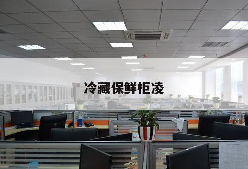 冷藏保鮮柜凌