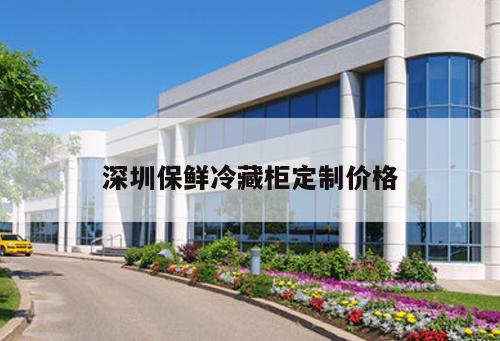 深圳保鮮冷藏柜定制價(jià)格