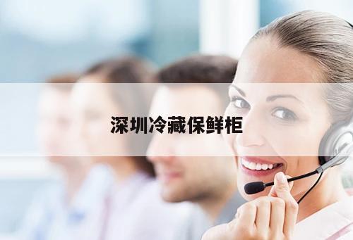 深圳冷藏保鮮柜