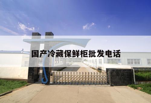 國產(chǎn)冷藏保鮮柜批發(fā)電話