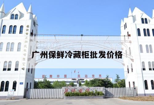 廣州保鮮冷藏柜批發(fā)價(jià)格