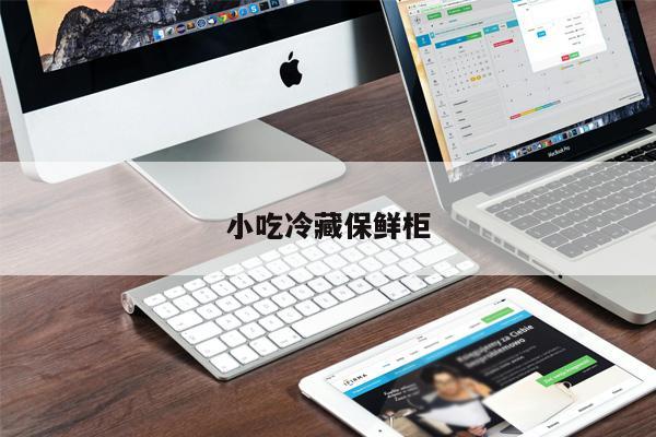 小吃冷藏保鮮柜