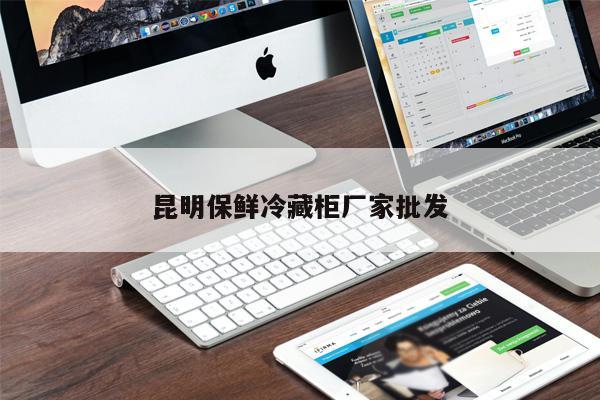 昆明保鮮冷藏柜廠家批發(fā)