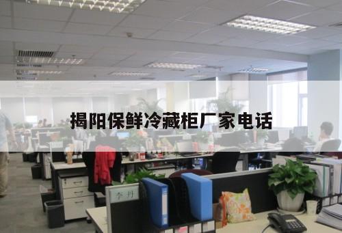 揭陽保鮮冷藏柜廠家電話