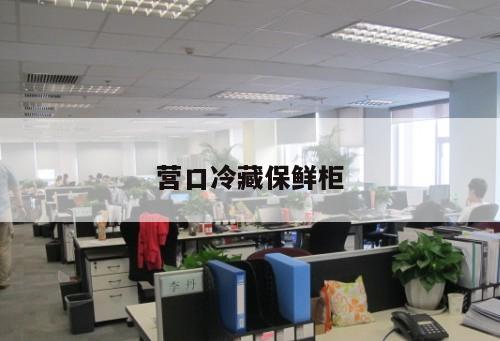 營(yíng)口冷藏保鮮柜