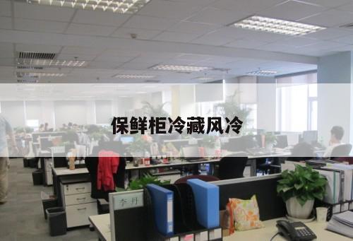 保鮮柜冷藏風(fēng)冷