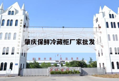 肇慶保鮮冷藏柜廠家批發(fā)
