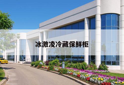 冰激凌冷藏保鮮柜