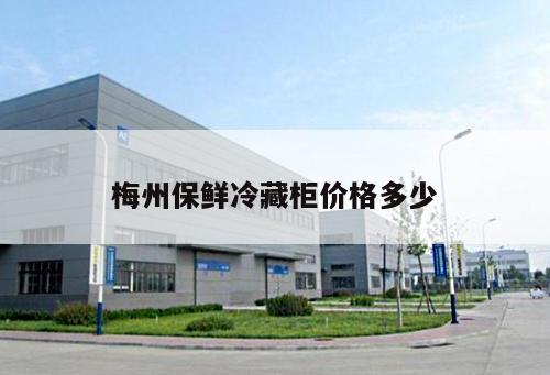 梅州保鮮冷藏柜價格多少