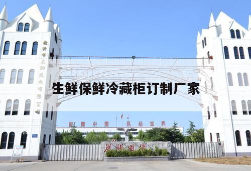 生鮮保鮮冷藏柜訂制廠家